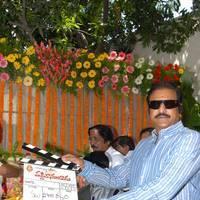 Mohan Babu - Vaddikaasulavaadu Movie Launch Stills | Picture 448493