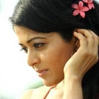 New Actress Kavita Srinivas Hot Photos | Picture 451238