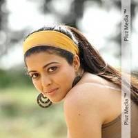 New Actress Kavita Srinivas Hot Photos | Picture 451319