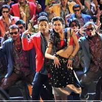 Iddarammayilatho Movie Latest Pictures | Picture 452907