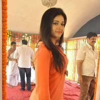 Poonam Bajwa at H Productions New Movie Launch Photos | Picture 452397
