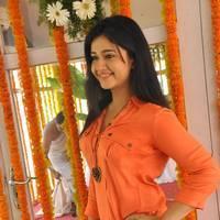 Poonam Bajwa at H Productions New Movie Launch Photos | Picture 452403