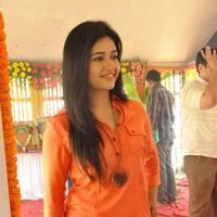Poonam Bajwa at H Productions New Movie Launch Photos | Picture 452409
