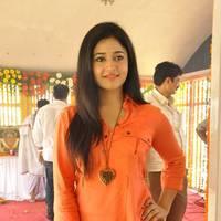 Poonam Bajwa at H Productions New Movie Launch Photos | Picture 452410
