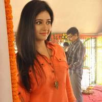 Poonam Bajwa at H Productions New Movie Launch Photos | Picture 452421