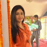 Poonam Bajwa at H Productions New Movie Launch Photos | Picture 452423