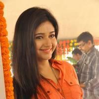 Poonam Bajwa at H Productions New Movie Launch Photos | Picture 452432