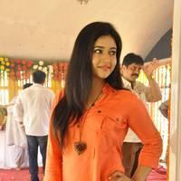 Poonam Bajwa at H Productions New Movie Launch Photos | Picture 452438