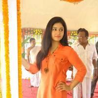 Poonam Bajwa at H Productions New Movie Launch Photos | Picture 452442