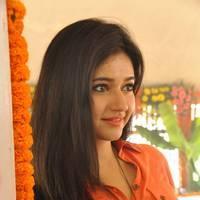 Poonam Bajwa at H Productions New Movie Launch Photos | Picture 452450