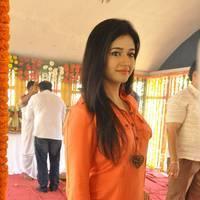 Poonam Bajwa at H Productions New Movie Launch Photos | Picture 452453