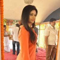 Poonam Bajwa at H Productions New Movie Launch Photos