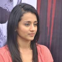 Trisha at H Productions New Movie Launch Photos | Picture 452542
