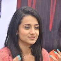 Trisha at H Productions New Movie Launch Photos | Picture 452552