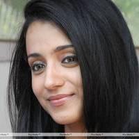 Trisha at H Productions New Movie Launch Photos | Picture 452483
