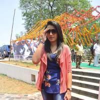 Trisha at H Productions New Movie Launch Photos | Picture 452487