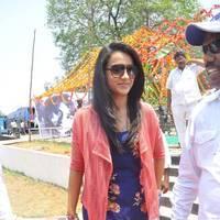 Trisha at H Productions New Movie Launch Photos | Picture 452492