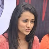 Trisha at H Productions New Movie Launch Photos | Picture 452571