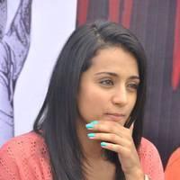 Trisha at H Productions New Movie Launch Photos | Picture 452573