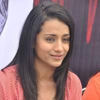 Trisha at H Productions New Movie Launch Photos | Picture 452575