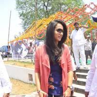 Trisha at H Productions New Movie Launch Photos | Picture 452518
