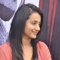 Trisha at H Productions New Movie Launch Photos | Picture 452585