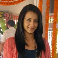 Trisha at H Productions New Movie Launch Photos | Picture 452522
