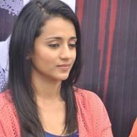 Trisha at H Productions New Movie Launch Photos | Picture 452587