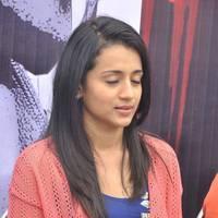 Trisha at H Productions New Movie Launch Photos | Picture 452599