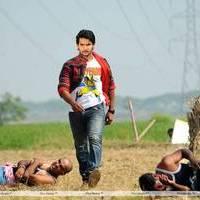 Aadi Sai Kumar - Sukumarudu Movie New Stills | Picture 453010