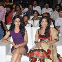 DK Bose Movie Audio Release Pictures | Picture 453531