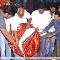 DK Bose Movie Audio Release Pictures | Picture 453437