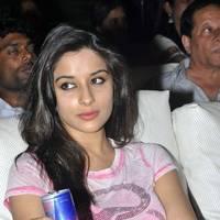 Madhurima Banerjee - DK Bose Movie Audio Release Pictures | Picture 453587