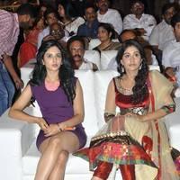 DK Bose Movie Audio Release Pictures | Picture 453605
