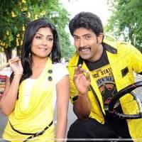 Ramachari Telugu Movie New Stills | Picture 453647