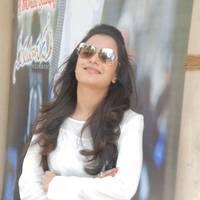 Nisha Agarwal New Images at Sukumarudu Triple Platinum Disc Function | Picture 454252