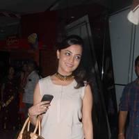 Nisha Agarwal - Sukumarudu Movie Premiere Show Photos | Picture 454866