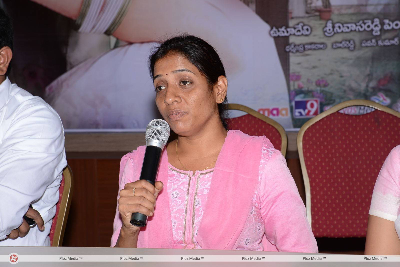 Mallela Theeram Lo Audio Success Meet Pictures | Picture 455547