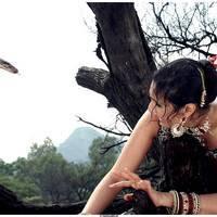 Rajakota Rahasyam Movie Stills | Picture 458666