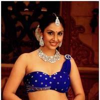 Divya Parameshwar Hot Images in Rajakota Rahasyam Movie | Picture 459418
