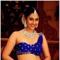 Divya Parameshwar Hot Images in Rajakota Rahasyam Movie | Picture 459424