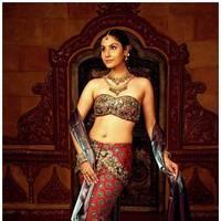 Divya Parameshwar Hot Images in Rajakota Rahasyam Movie | Picture 459462