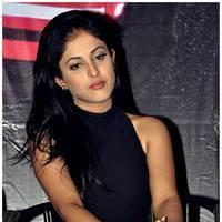 Priya Banerjee Hot Images at Kiss Movie Logo Launch | Picture 460772