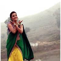 Nisha Agarwal - DK Bose Movie New Stills | Picture 461408