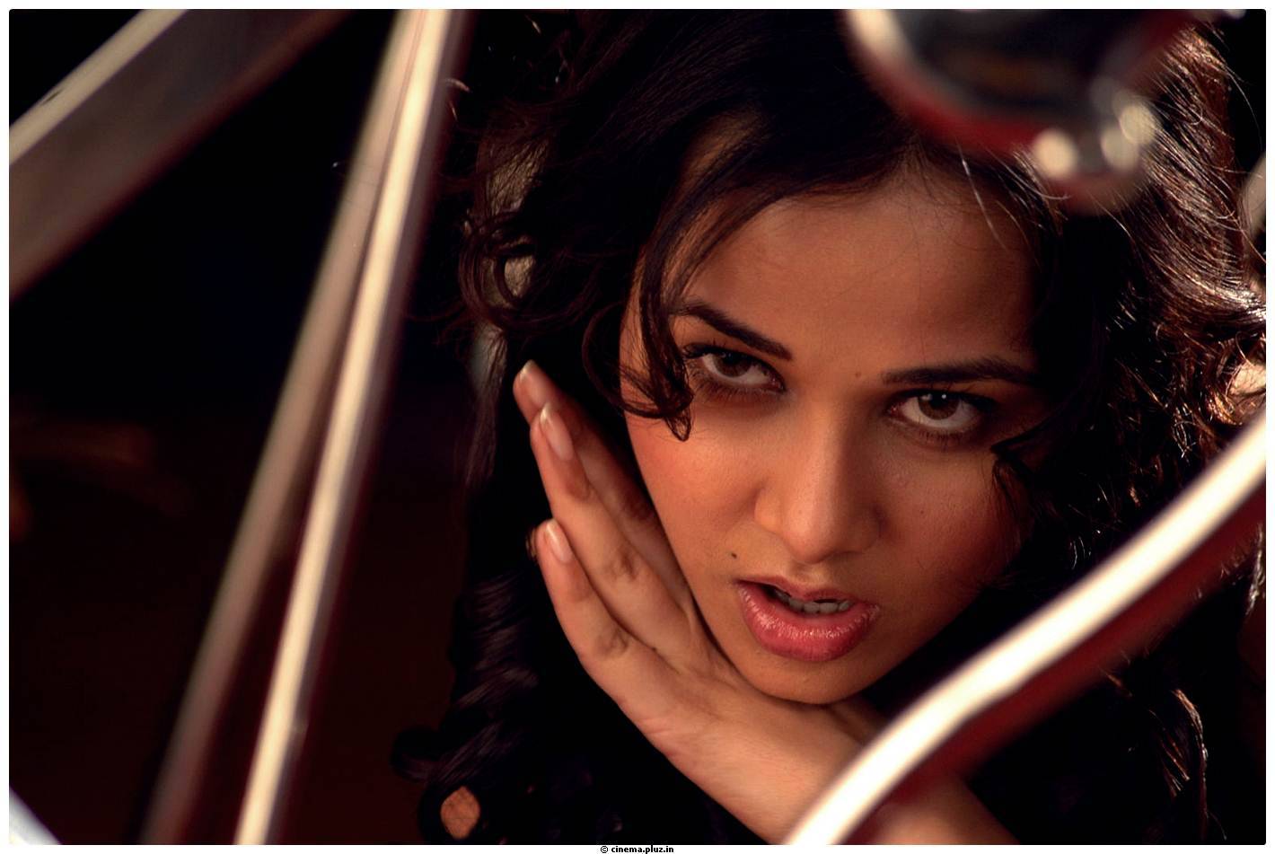 Hot Actress Nisha Kothari Latest Spicy Photos | Picture 461282