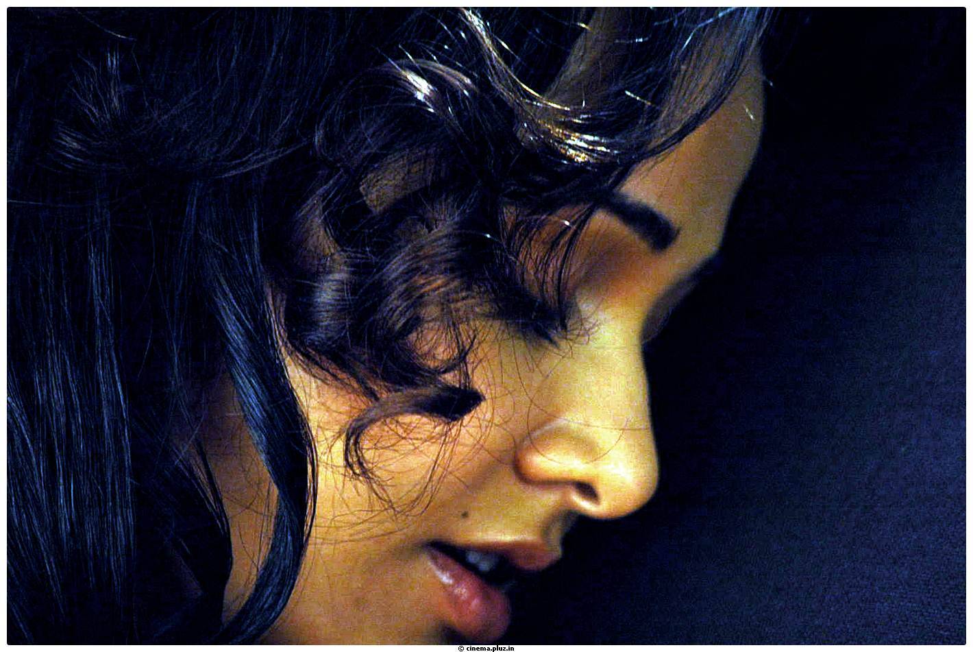 Hot Actress Nisha Kothari Latest Spicy Photos | Picture 461336