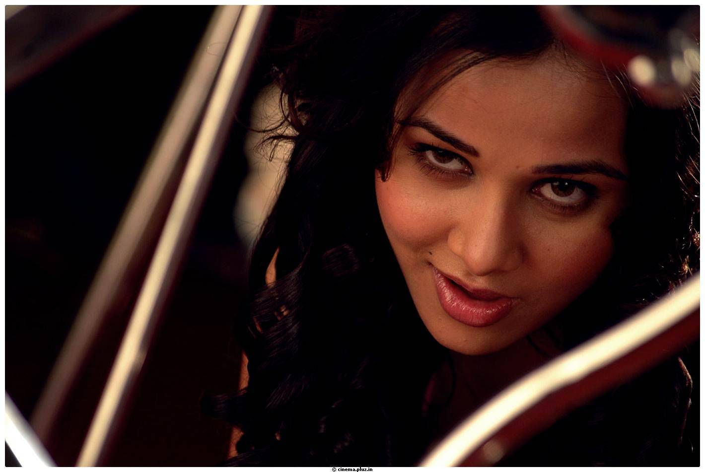 Hot Actress Nisha Kothari Latest Spicy Photos | Picture 461341
