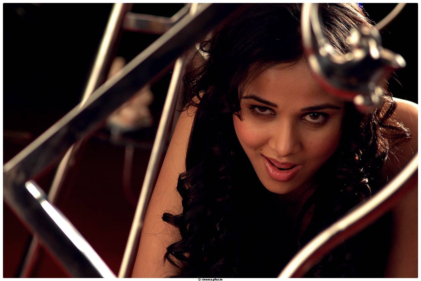 Hot Actress Nisha Kothari Latest Spicy Photos | Picture 461352