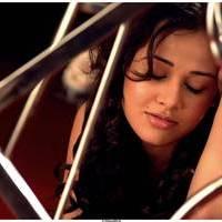 Hot Actress Nisha Kothari Latest Spicy Photos | Picture 461281
