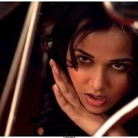 Hot Actress Nisha Kothari Latest Spicy Photos | Picture 461282